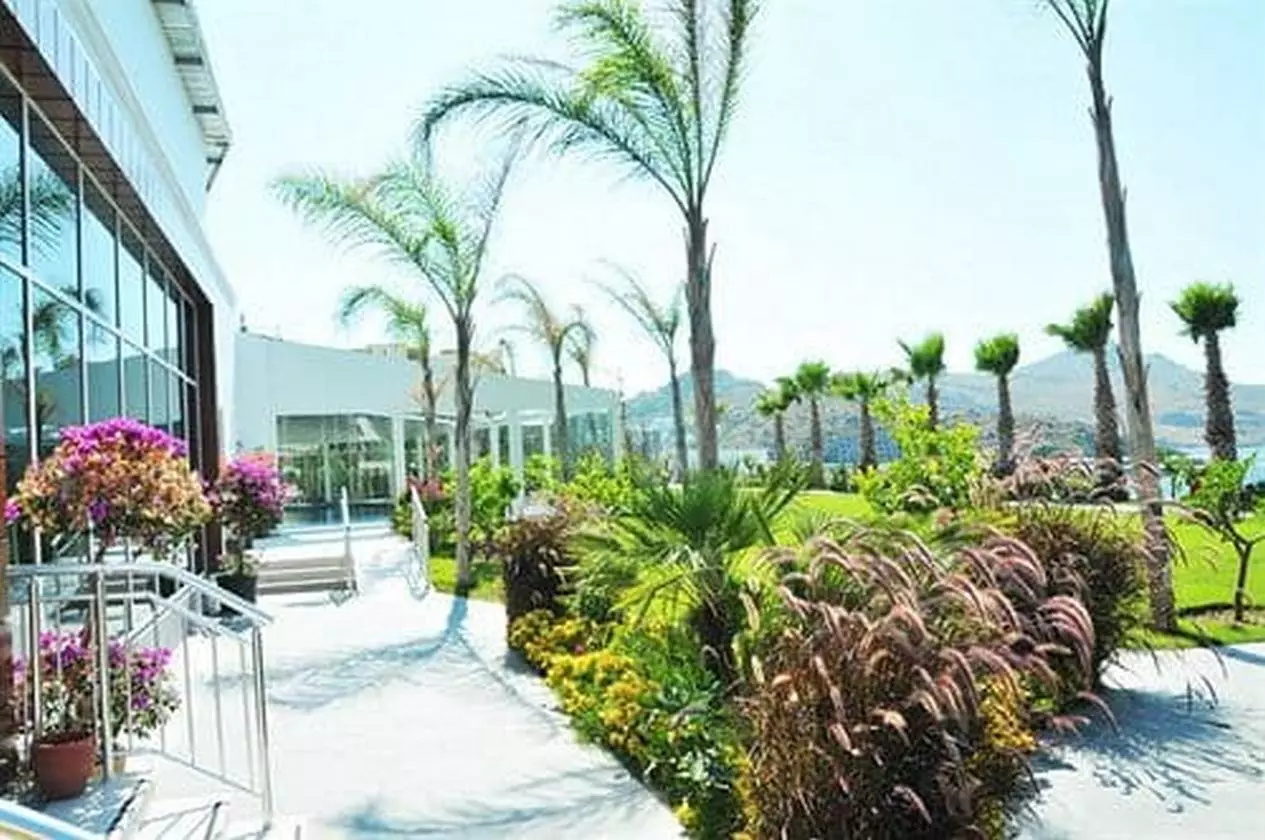 DELTABEACH_SHABAVIZ (21).jpg